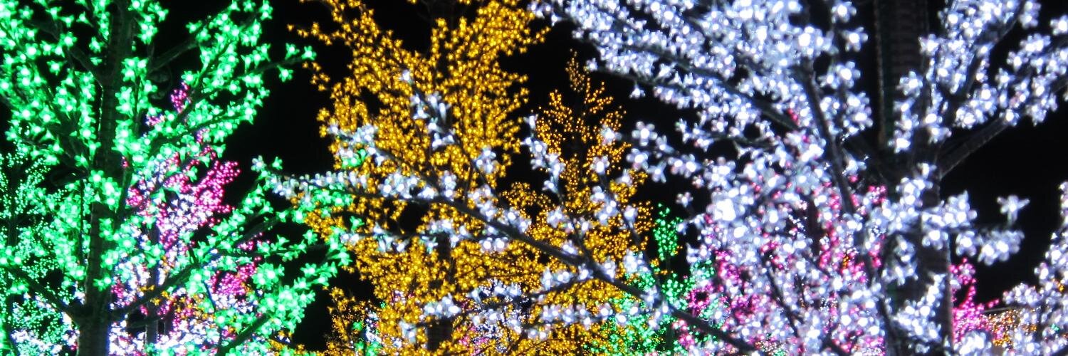 draindraindrain's profile banner image