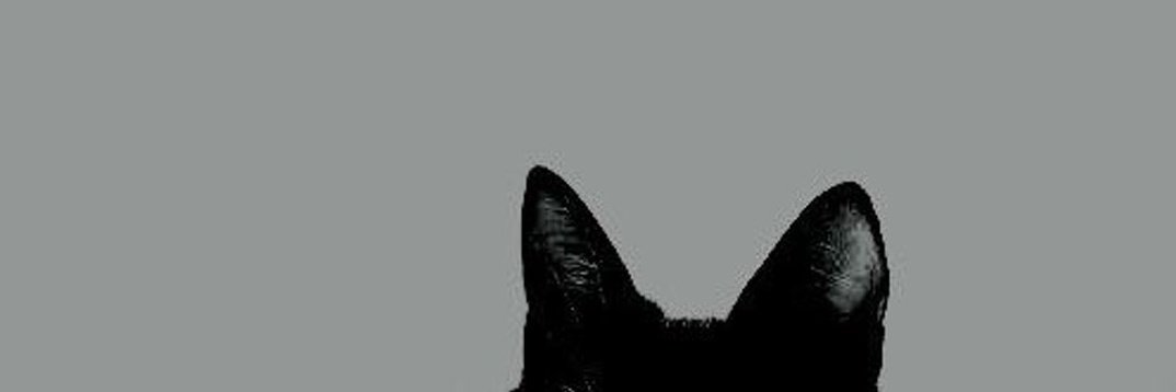 Dayalfu's profile banner image