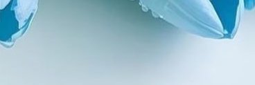 mayra7sa's profile banner image