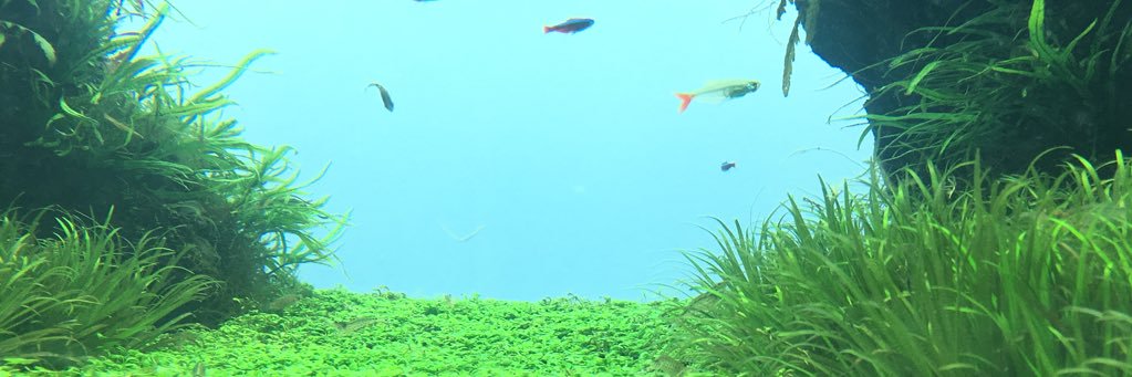MpMxn's profile banner image