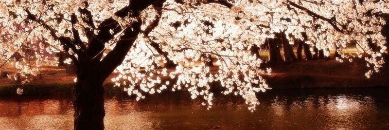 ADRYBLUEE's profile banner image