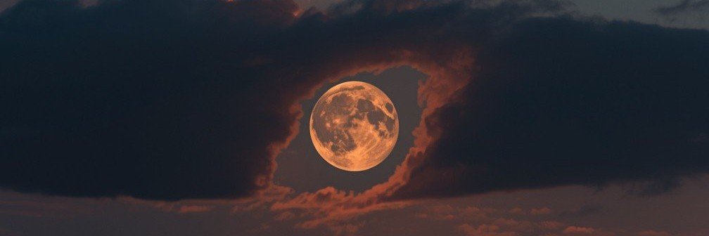 BarryBo63717301's profile banner image