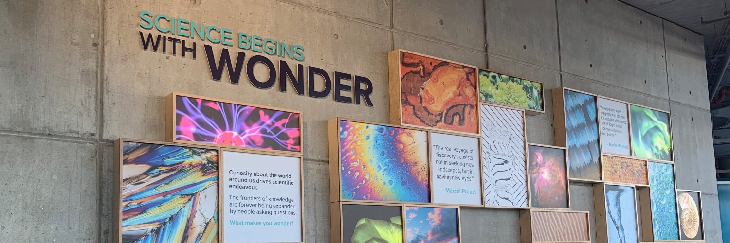 Mrs Anderson (Miss Ireland) banner