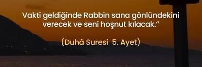 sedd banner