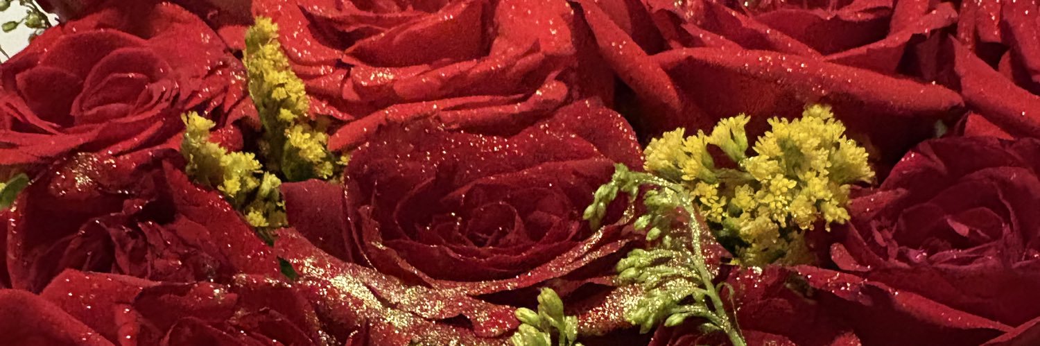 Sofivc27's profile banner image