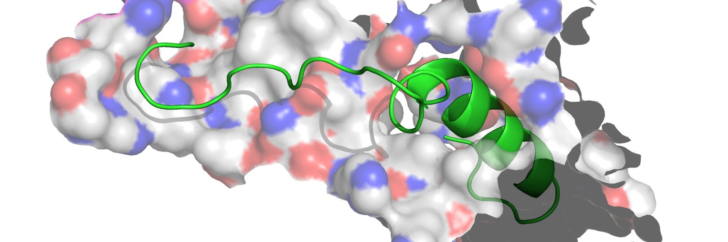 Adam Schofield banner