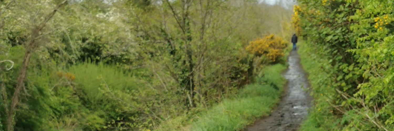 naturetalk_boy's profile banner image