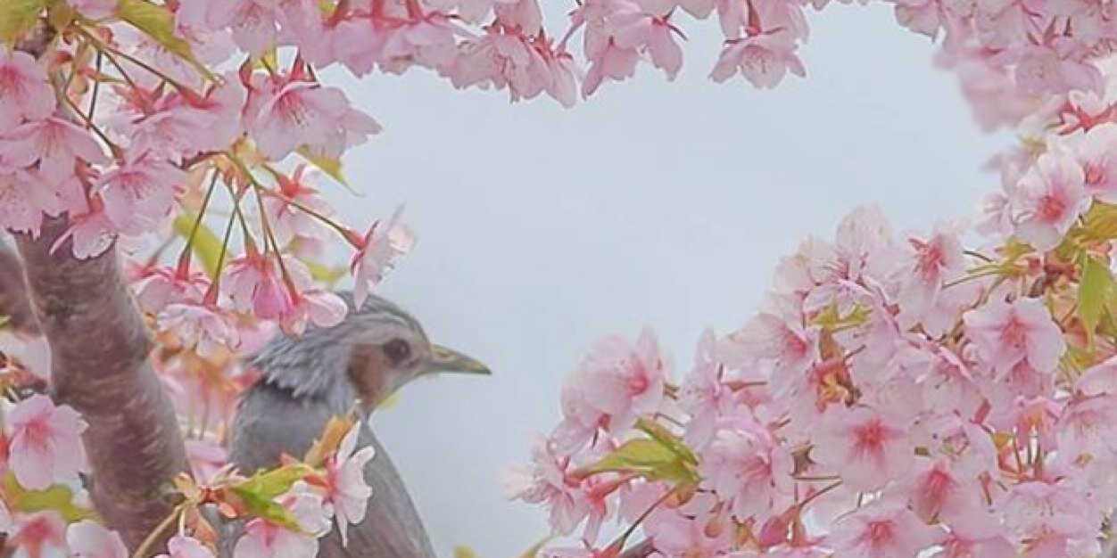 penelope817's profile banner image