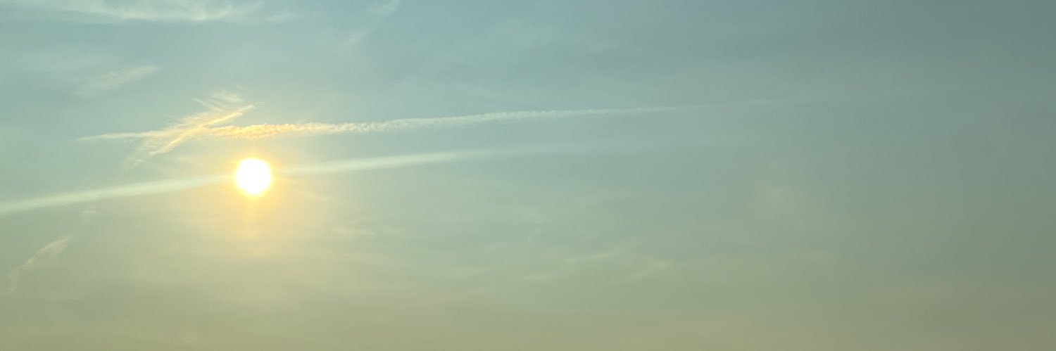 another_l_'s profile banner image