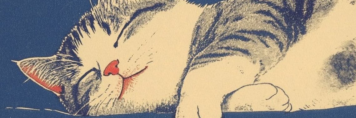 ardilla_te's profile banner image