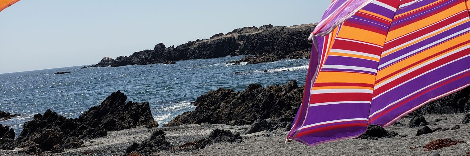 Tom🅰️s Corei 38% 🌳 banner