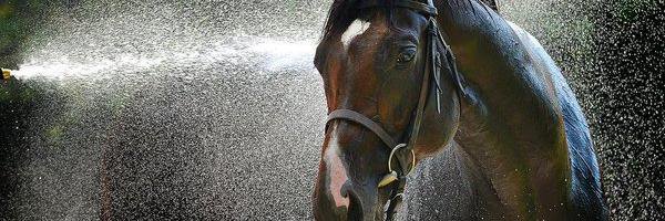 ufuk353's profile banner image