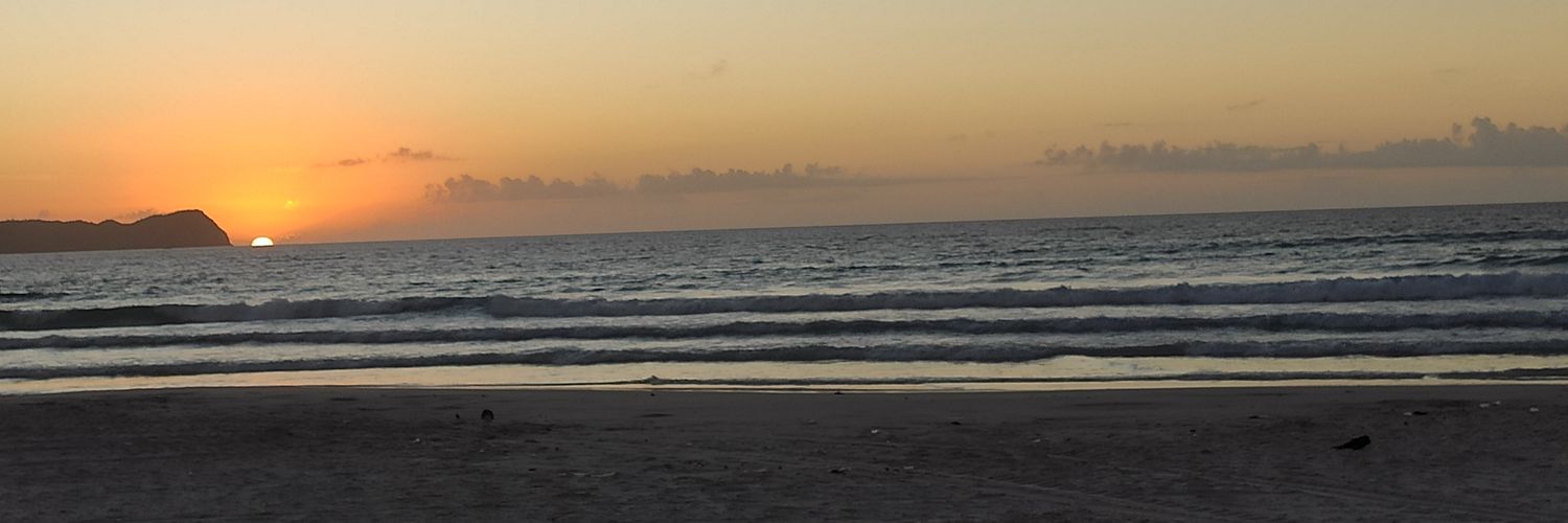 Alexandra Valadares banner