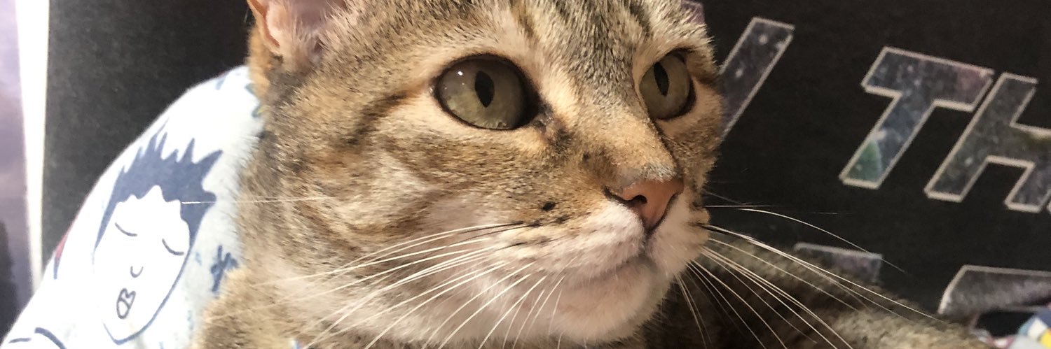 thatitha⊙⊝⊜ banner