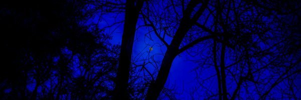 MisterBlueNight Profile Banner