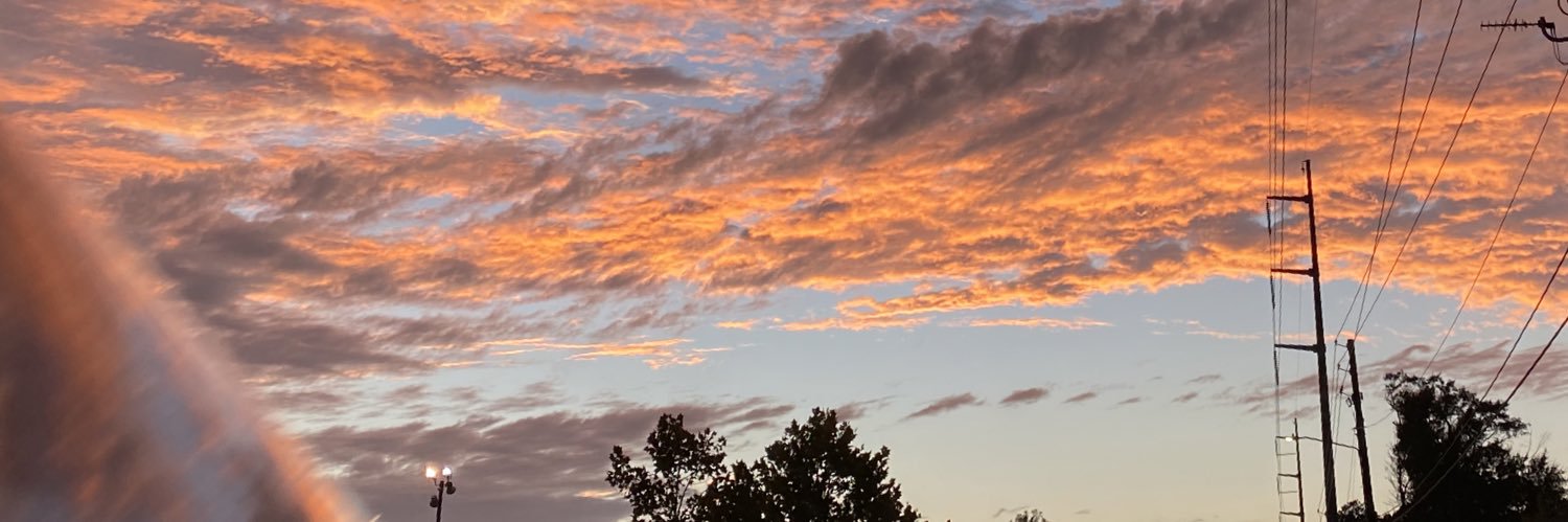 lizardxbrain's profile banner image