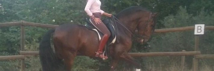 miridrguez's profile banner image