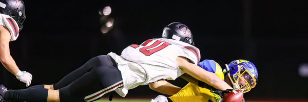 FialaReid Profile Banner