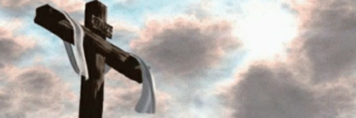 Rafael N. Castro M. banner