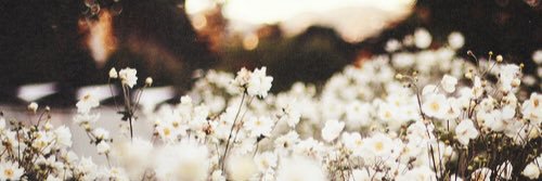 lee_ann_24's profile banner image