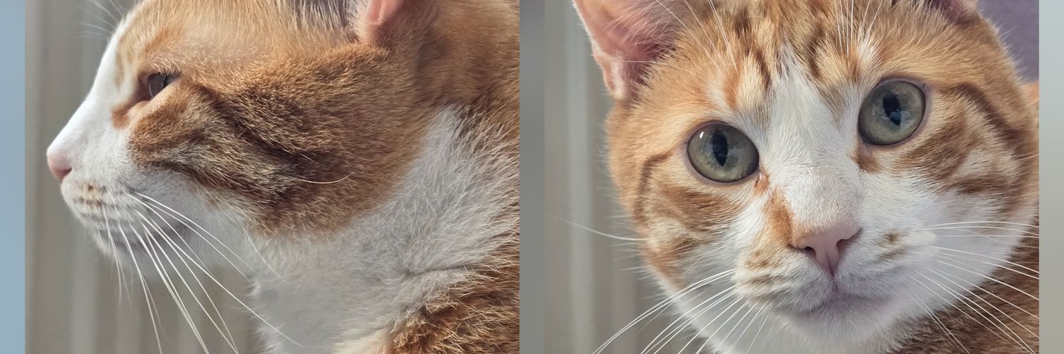 _Lady_Be's profile banner image