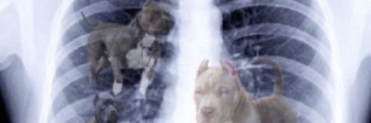 nonamemima's profile banner image