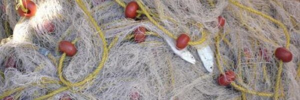 digitalplotter Profile Banner