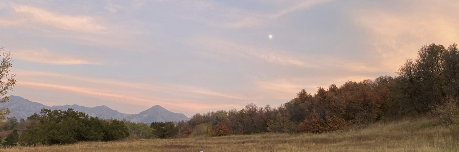 stromdogforever's profile banner image