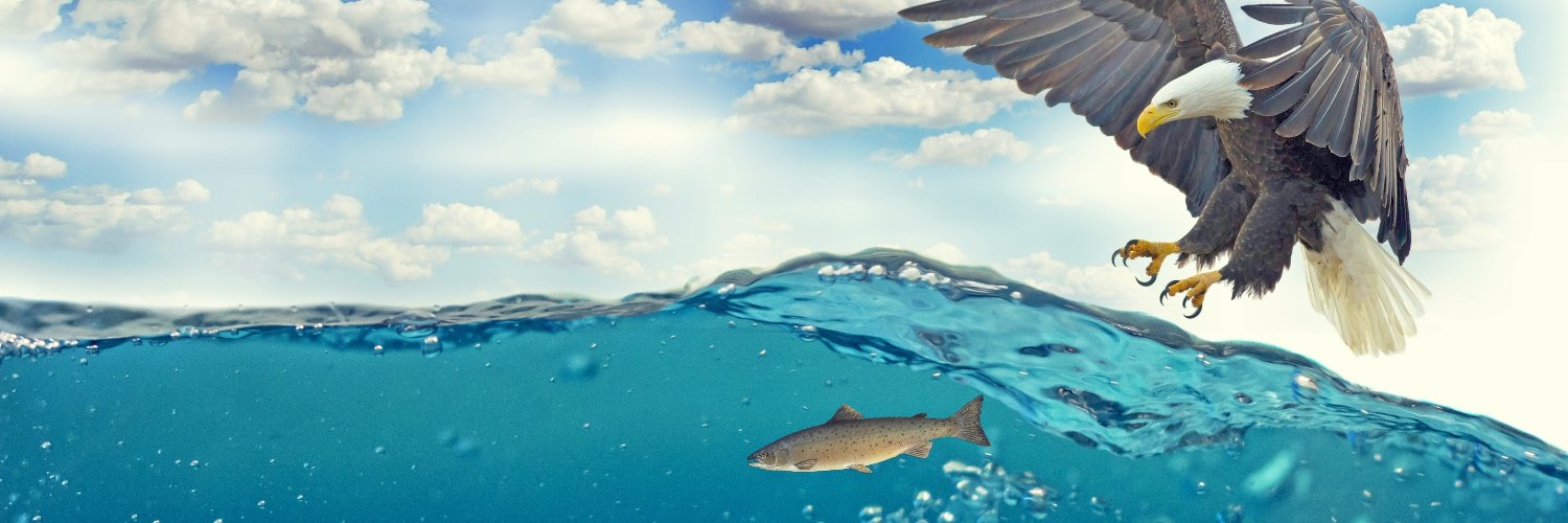 Ultimatefish97's profile banner image