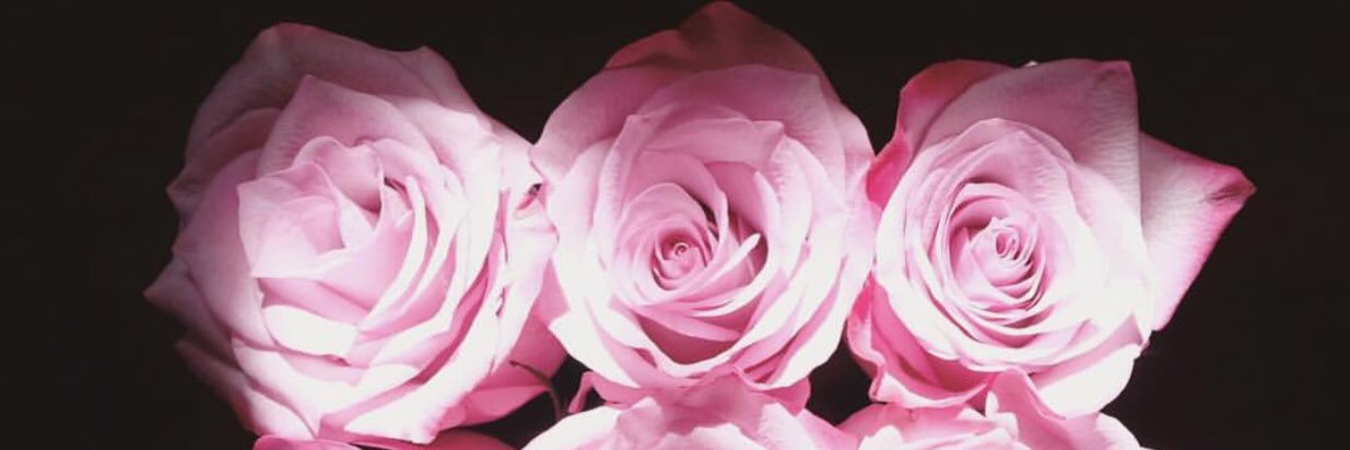 auviraa's profile banner image