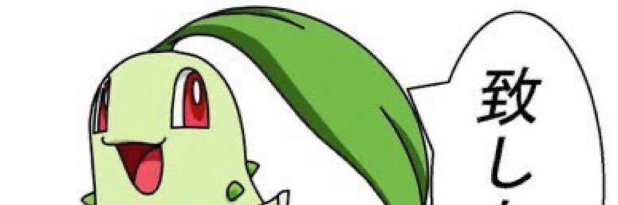 modelclub15's profile banner image