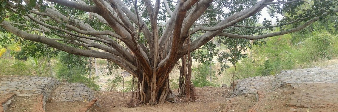 Janastu Servelots banner