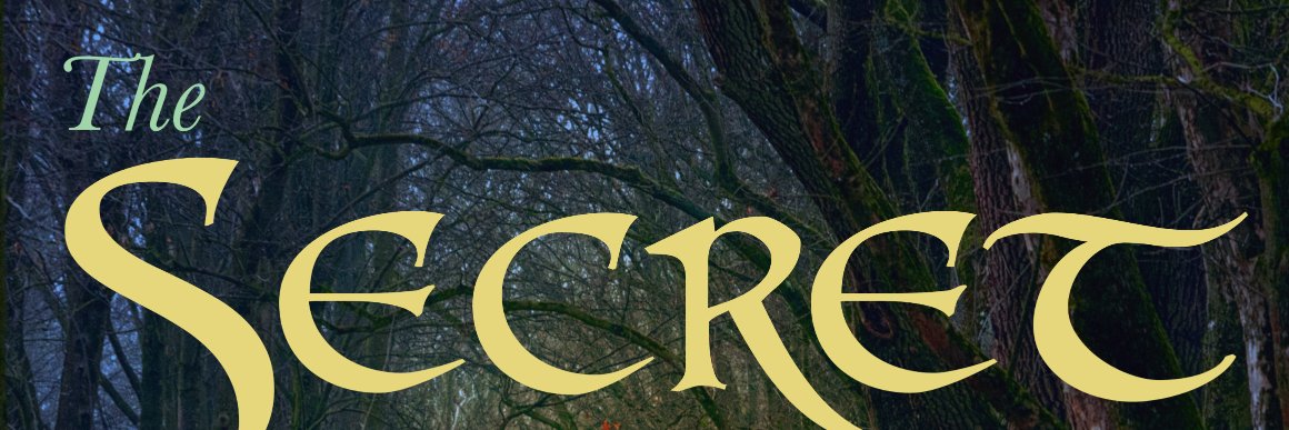 Higgs Bison 🔥 banner