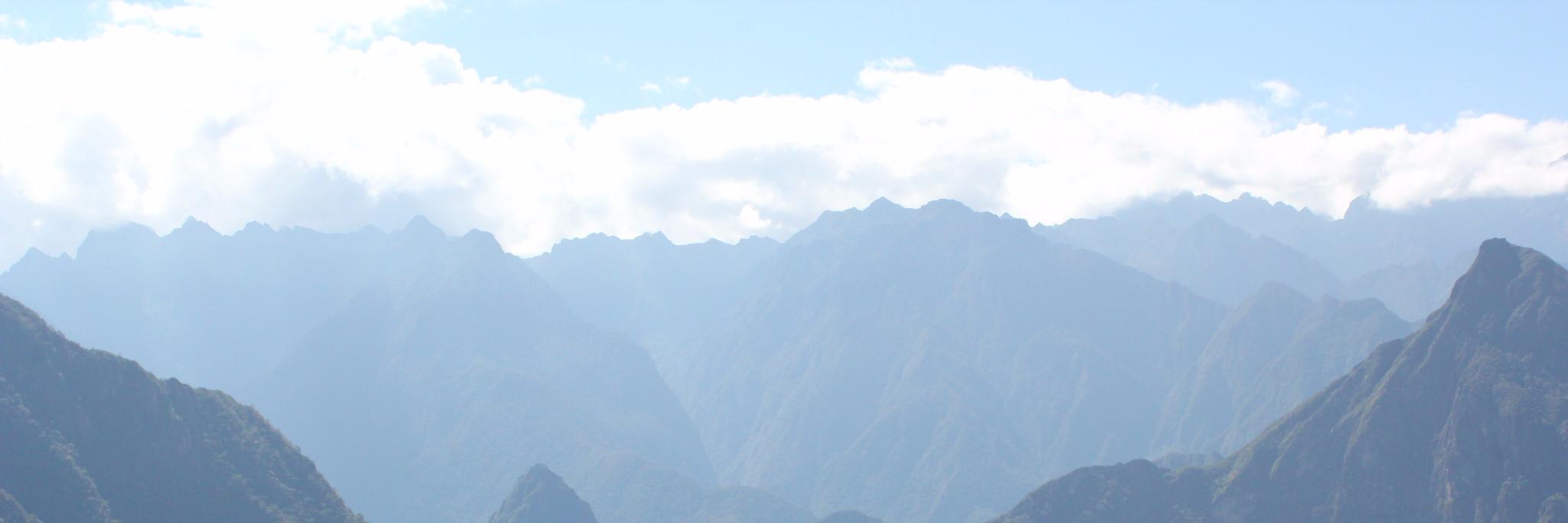 nikisole_'s profile banner image