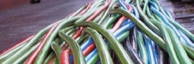 jaap van till banner