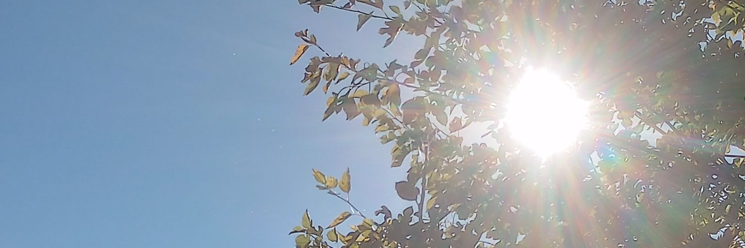 DDiamond406's profile banner image