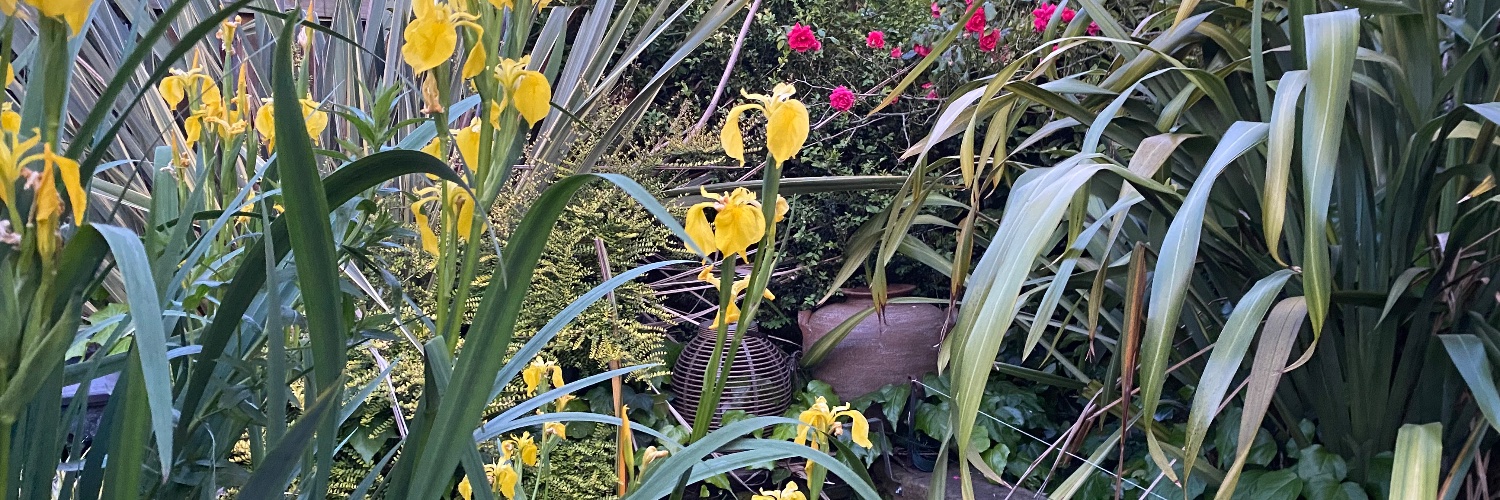 Angry Kim 🇬🇧🏴󠁧󠁢󠁥󠁮󠁧󠁿 banner