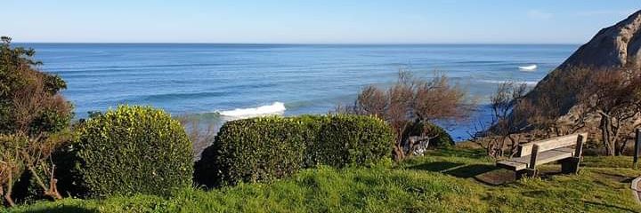 Séto Pereira banner