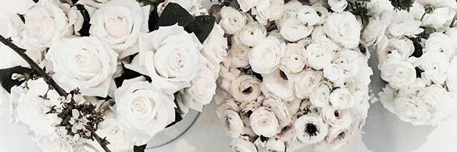 GraceTumblr's profile banner image