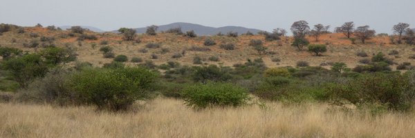 sophieteullet Profile Banner