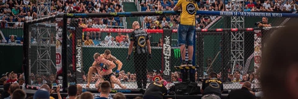 David Mora banner