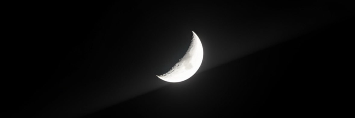shittyvenus's profile banner image