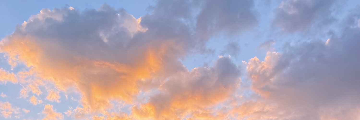 sandra_blancoo's profile banner image