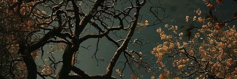 Naomi_dubby's profile banner image