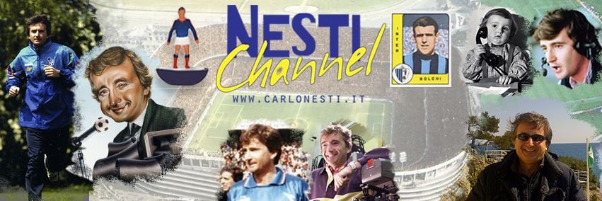 NESTIChannel's profile banner image