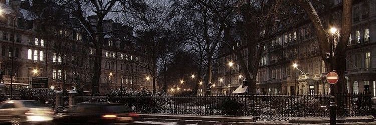 meiraley's profile banner image