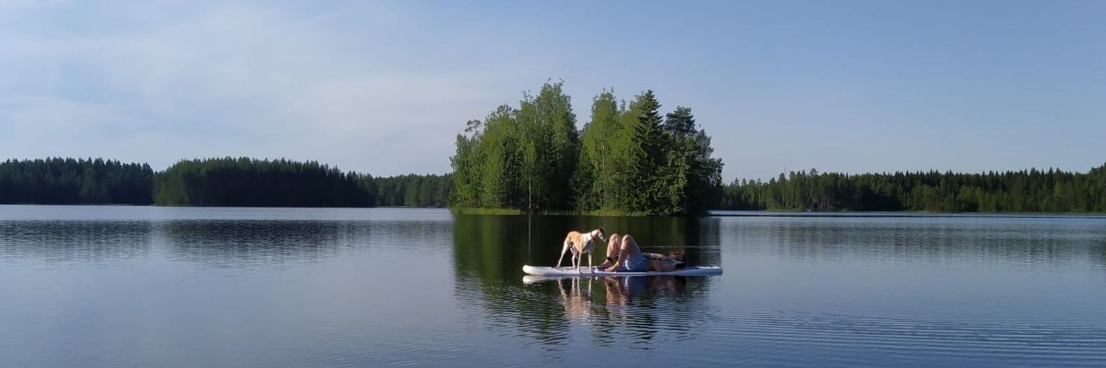 Sami Koivisto banner