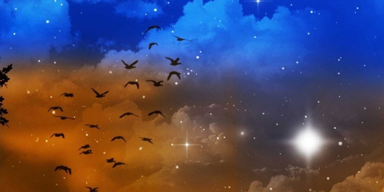 Fofana_15's profile banner image