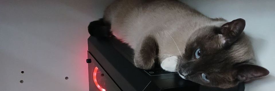 Кар 🐦‍⬛🏳️‍🌈 banner