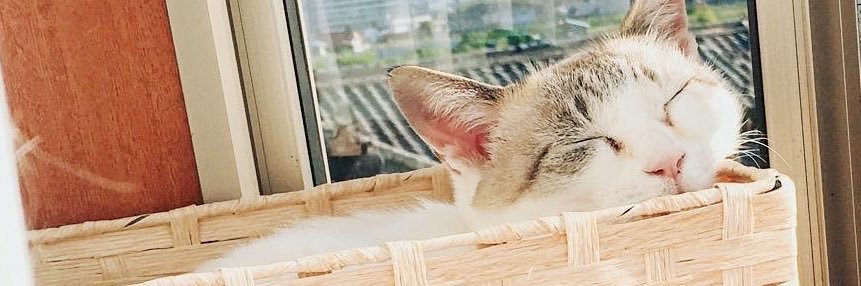 96kinako's profile banner image